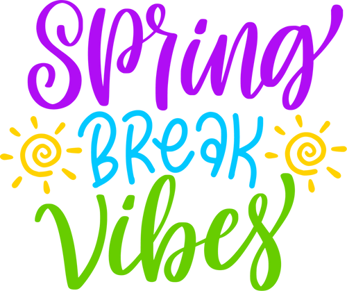 Spring Break Vibes Bright Text DTF Transfer