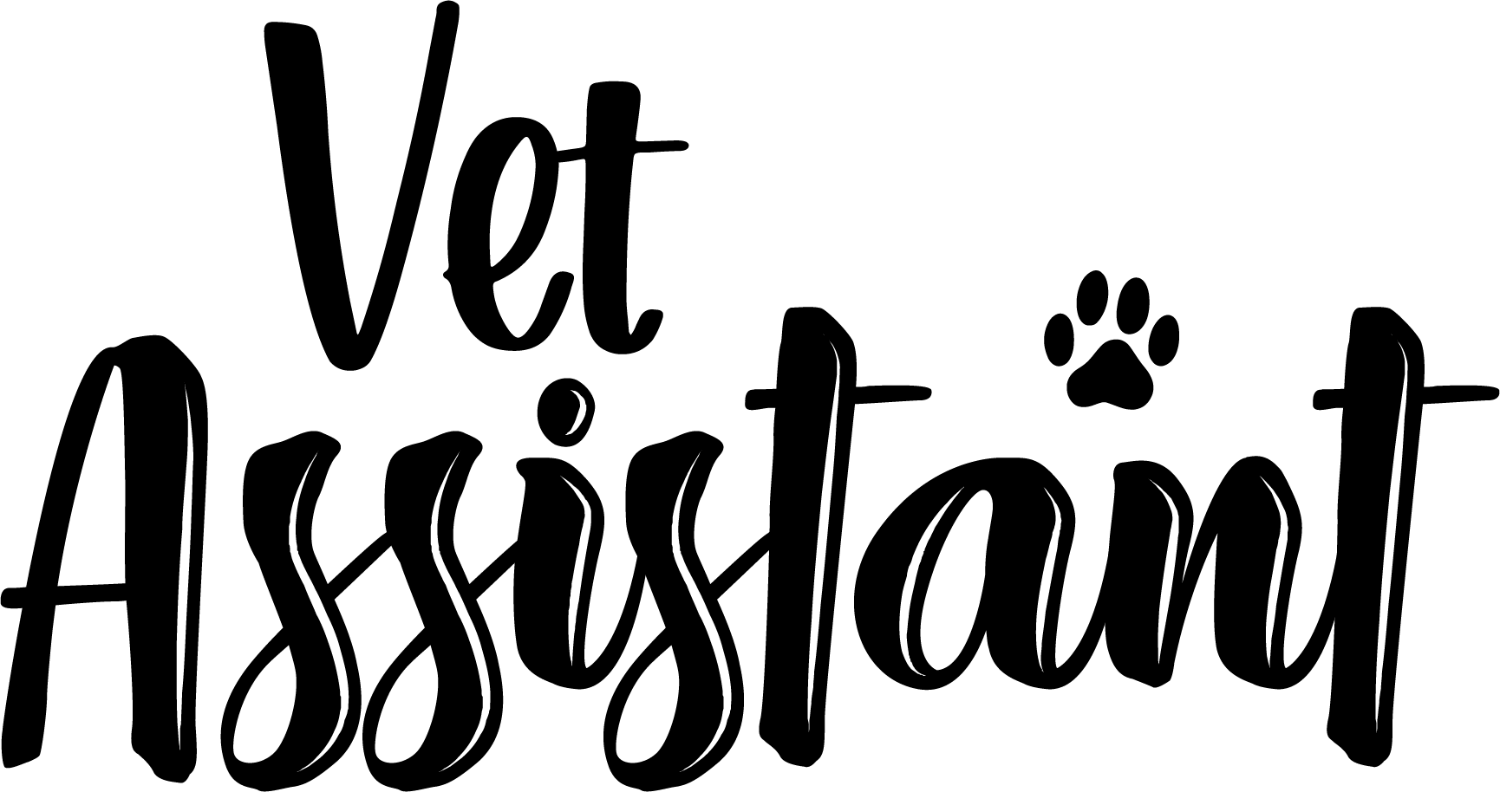 Black script text reading 'Vet Assistant' with paw print symbol, ready to press dtf transfer design