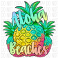Aloha Beaches Pineapple Rainbow Dtf Transfer