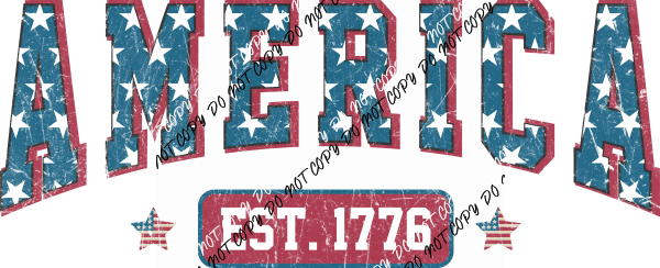 America Established 1776 DTF Transfer - We Print U Press DTF Transfers