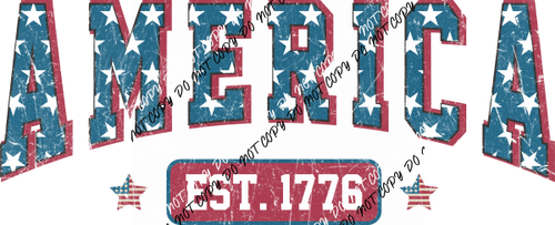 America Established 1776 DTF Transfer - We Print U Press DTF Transfers
