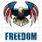American Freedom Eagle Distressed Dtf Transfer