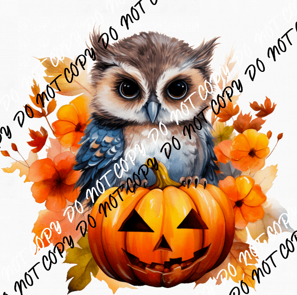 Autumn Owl on a Pumpkin DTF Transfer - We Print U Press DTF Transfers