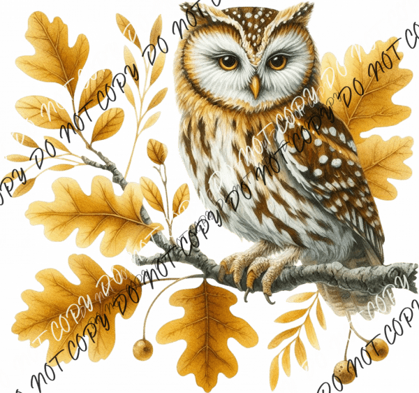 girlfriend-to-fiancee-dtf-transfer