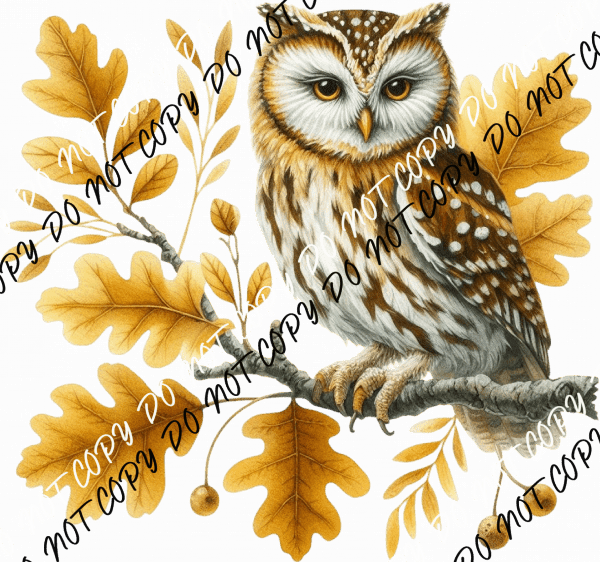 Autumn Owl on Branch DTF Transfer - We Print U Press DTF Transfers