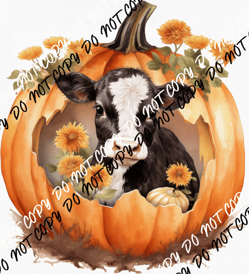 Black and White Cow in a Pumpkin DTF Transfer - We Print U Press DTF Transfers