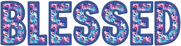 Blessed Pink and Blue text faux embroidery DTF Transfer RTP DTF Transfers