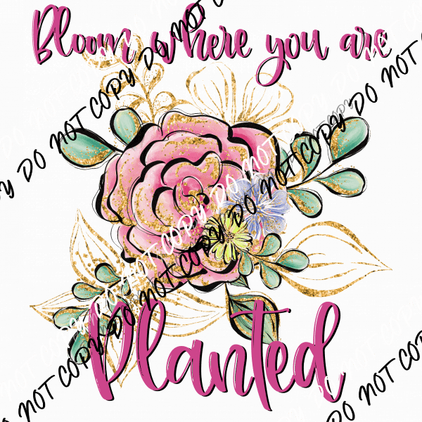 wild-and-free-dtf-transfer-1