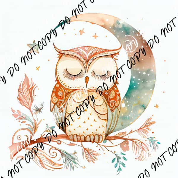 Boho Moon Owl Watercolor DTF Transfer - We Print U Press DTF Transfers