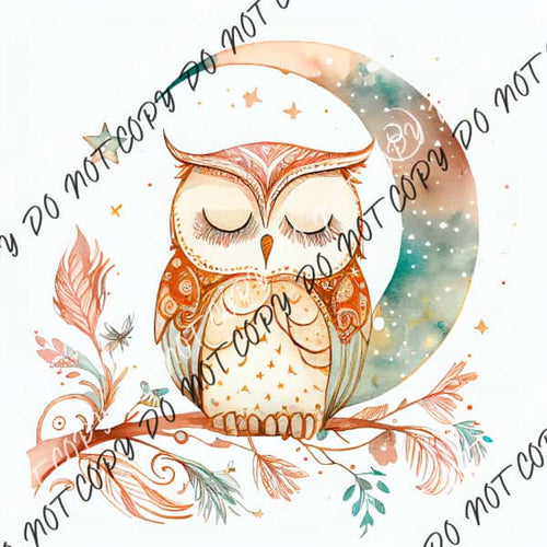 Boho Moon Owl Watercolor Dtf Transfer