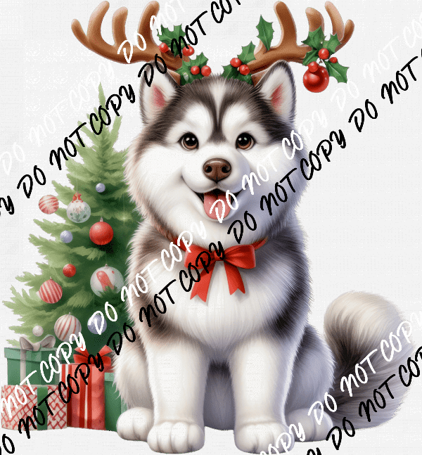 Christmas Husky Pup with Antlers DTF Transfer - We Print U Press DTF Transfers