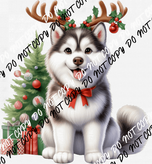 Christmas Husky Pup with Antlers DTF Transfer - We Print U Press DTF Transfers