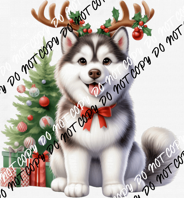 Christmas Husky Pup with Antlers DTF Transfer - We Print U Press DTF Transfers