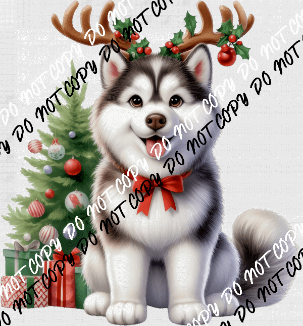 Christmas Husky Pup with Antlers DTF Transfer - We Print U Press DTF Transfers