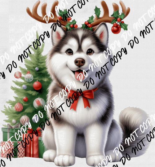 Christmas Husky Pup with Antlers DTF Transfer - We Print U Press DTF Transfers