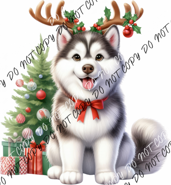 Christmas Husky Pup With Antlers Dtf Transfer Rtp Transfers