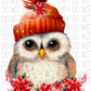 Christmas Owl Red Hat Pointsettias Dtf Transfer Transfers
