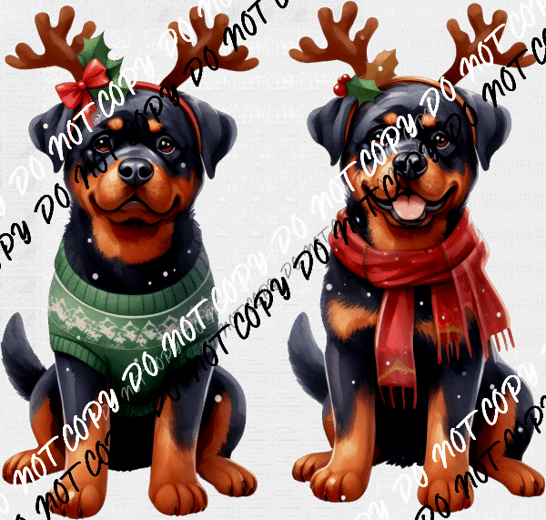 rooted-in-chaos-growing-in-love-dtf-transfer