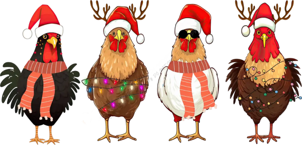 Four colorful roosters wearing Santa hats and holiday decorations, ready to press dtf transfer design