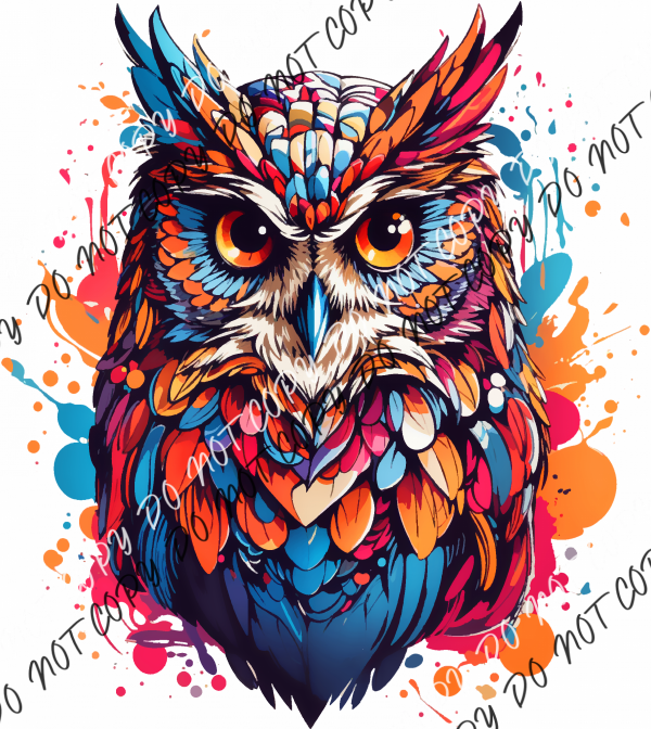 Colorful Owl Dtf Transfer Rtp Transfers