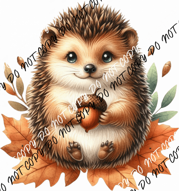 Cozy Acorn Hedgehog DTF Transfer - We Print U Press DTF Transfers