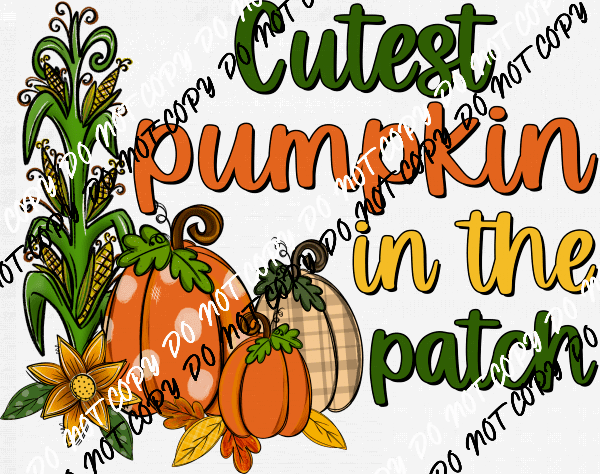 Cutest Pumpkin in the Patch DTF Transfer - We Print U Press DTF Transfers