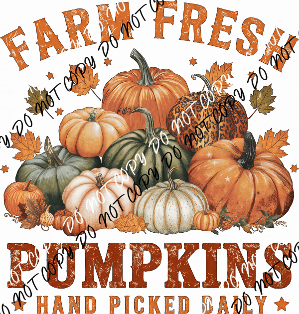 Farm Fresh Pumpkins DTF Transfer - We Print U Press DTF Transfers