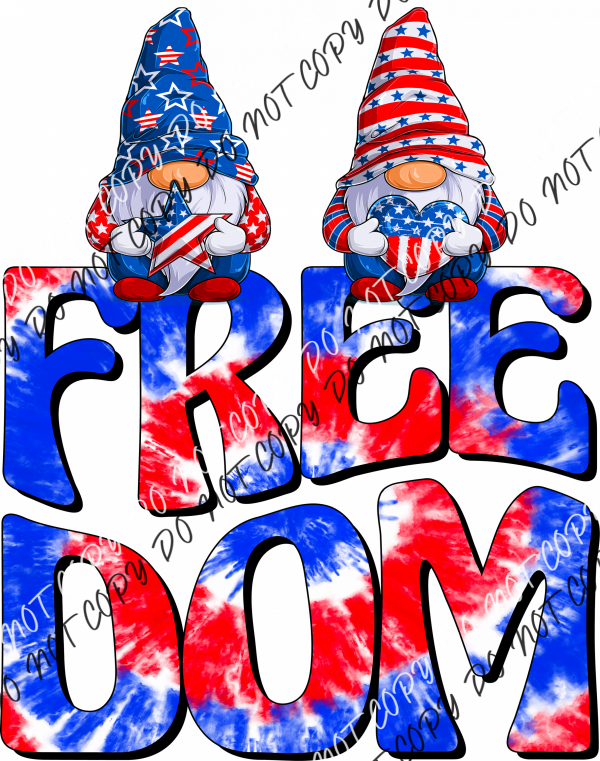 Freedom Gnomes Dtf Transfer