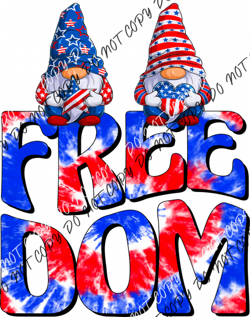 Freedom Gnomes Dtf Transfer