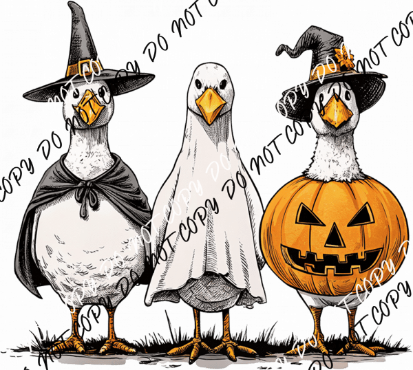 Halloween Silly Goose Trio DTF Transfer - We Print U Press DTF Transfers