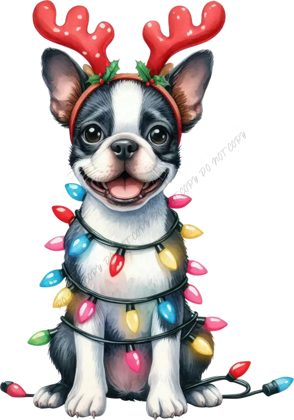 Smiling Boston Terrier wearing red reindeer antlers and colorful Christmas lights, ready to press dtf transfer