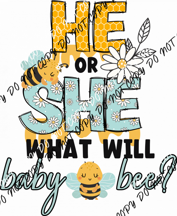 He or She What Will Baby Bee? DTF Transfer - We Print U Press DTF Transfers