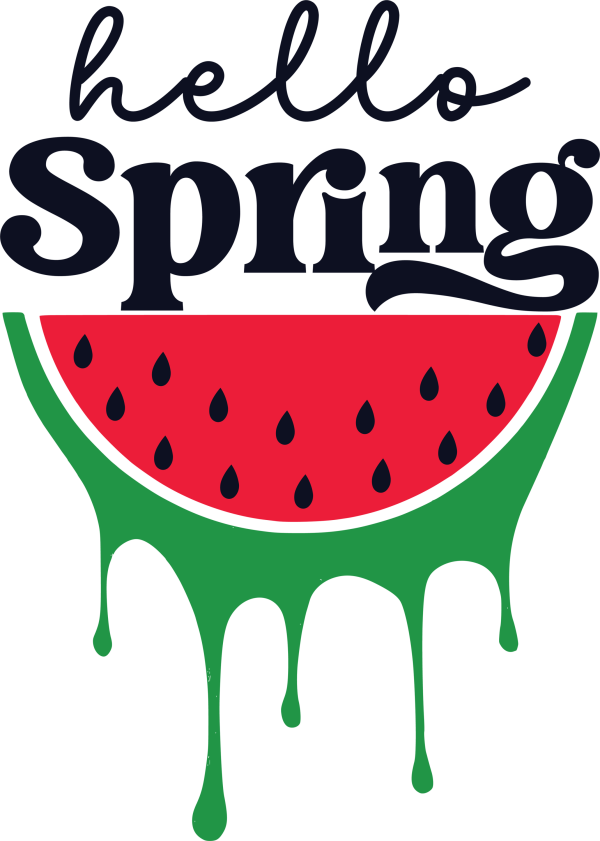 Hello Spring Watermelon DTF Transfer RTP DTF Transfers
