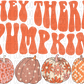 Hey There Pumpkin Retro Patterned Pumpkins Dtf Transfer
