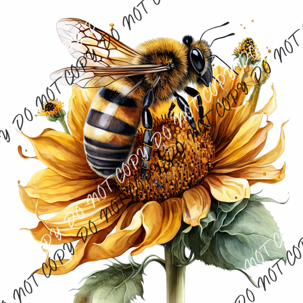 Honey Bee Sunflower Watercolor Dtf Transfer Transfers