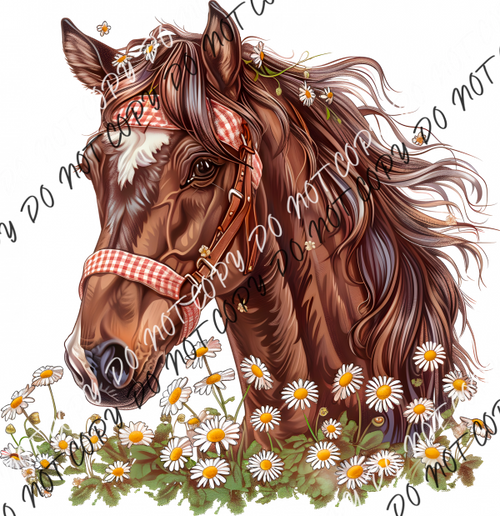 Horse With Daisies Dtf Transfer Rtp Transfers