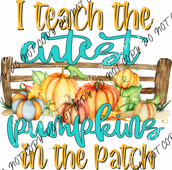 I Teach The Cutest Pumpkin Patch Dtf Transfer