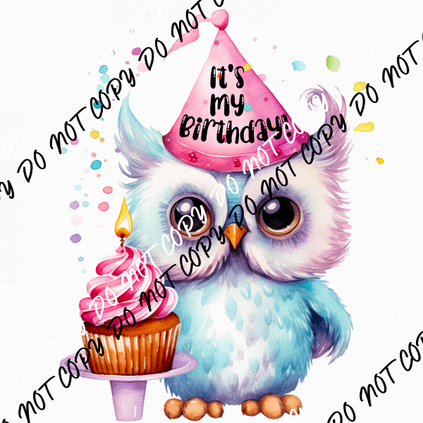 It's My Birthday Cupcake Owl DTF Transfer - We Print U Press DTF Transfers