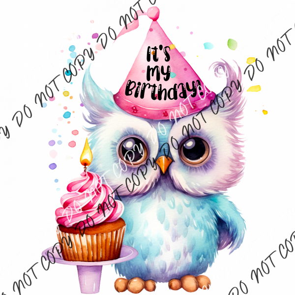 Its My Birthday Cupcake Owl Dtf Transfer