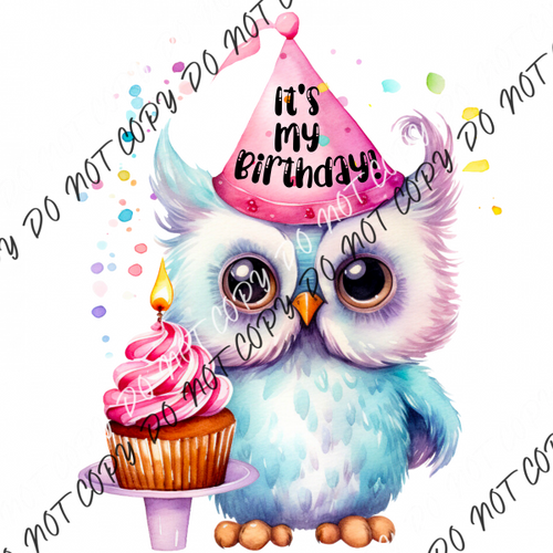 Its My Birthday Cupcake Owl Dtf Transfer