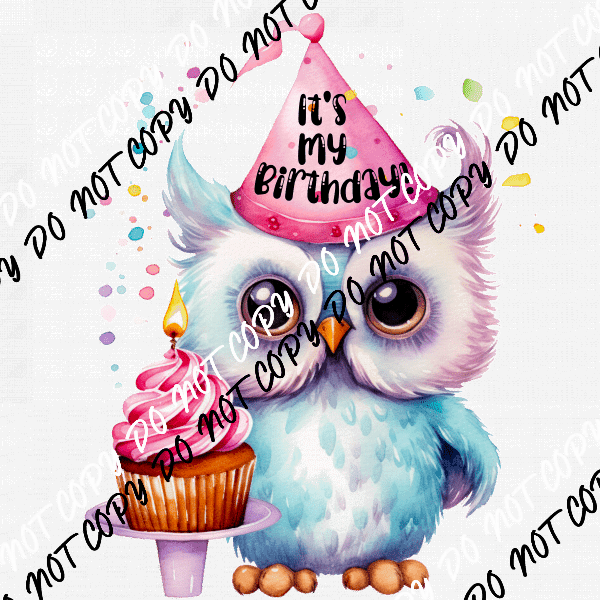 It's My Birthday Cupcake Owl DTF Transfer - We Print U Press DTF Transfers