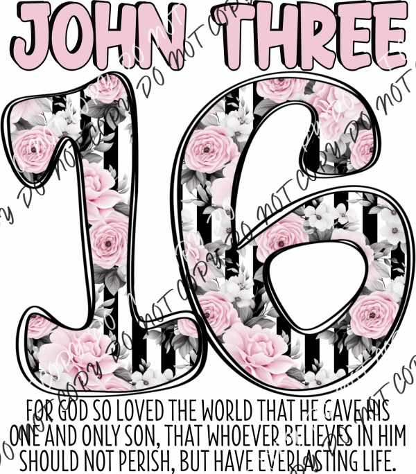 ’John Three 16’’ Dtf Transfer