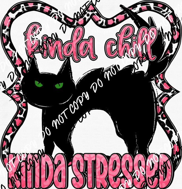 Kinda Chill Kinda Stressed Cat DTF Transfer - We Print U Press DTF Transfers