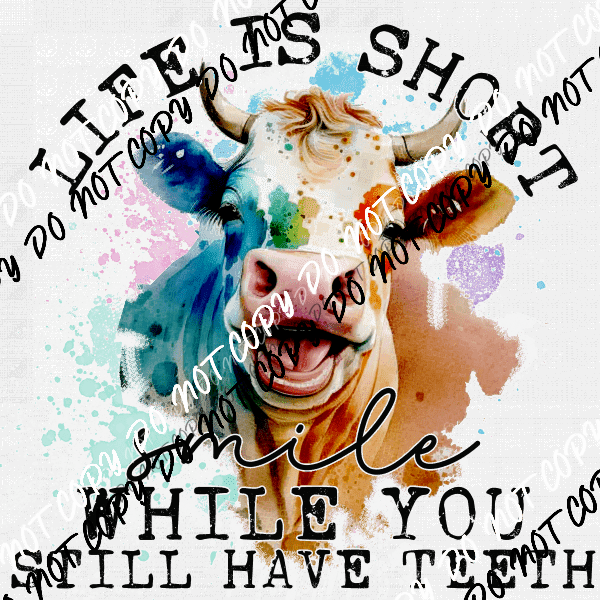salty-heifer-highland-cow-dtf-transfer