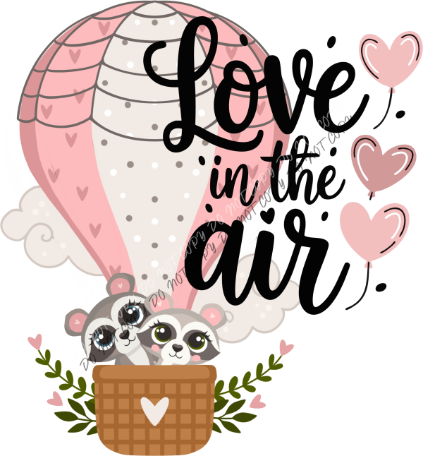 Love in the Air Racoons DTF Transfer RTP DTF Transfers