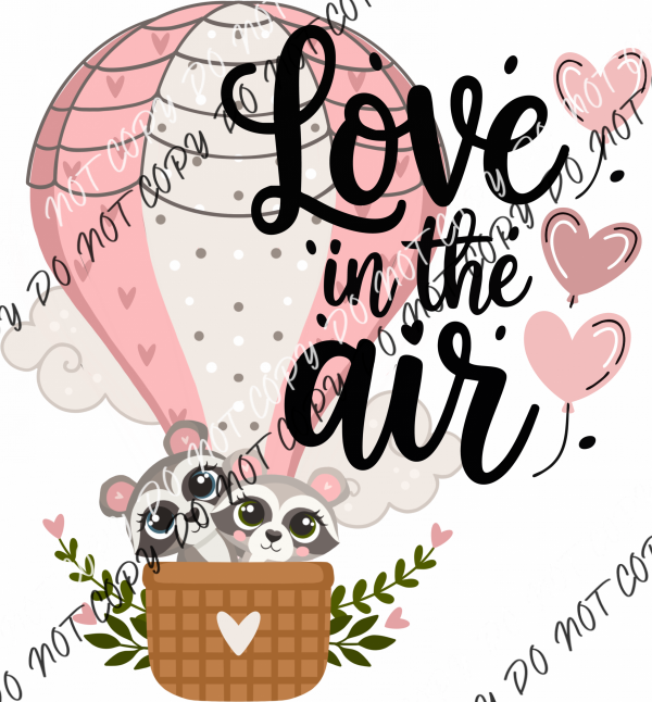 Love in the Air Racoons DTF Transfer RTP DTF Transfers