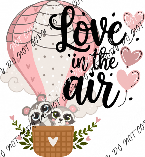 Love in the Air Racoons DTF Transfer RTP DTF Transfers