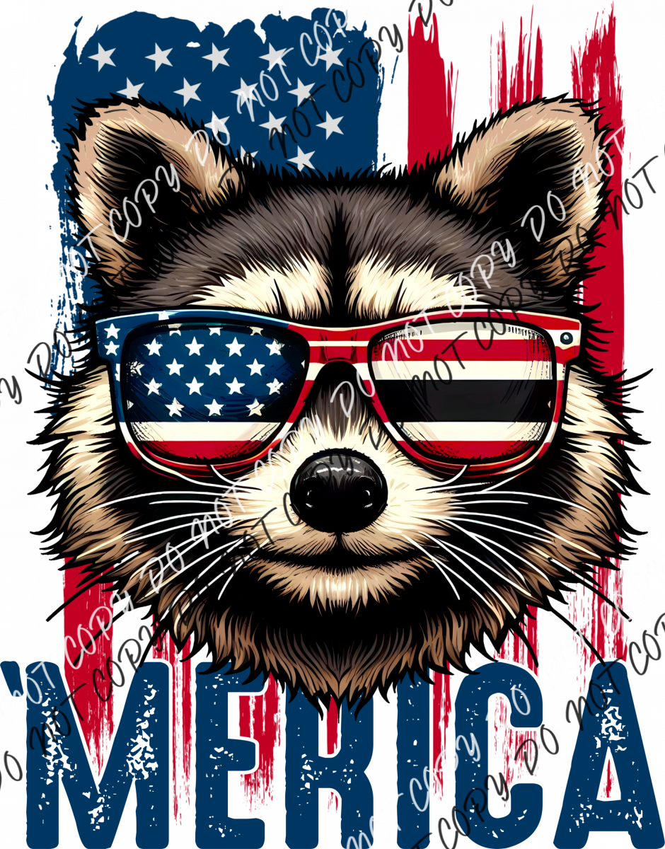 ’Merica Raccoon Dtf Transfer Rtp Transfers