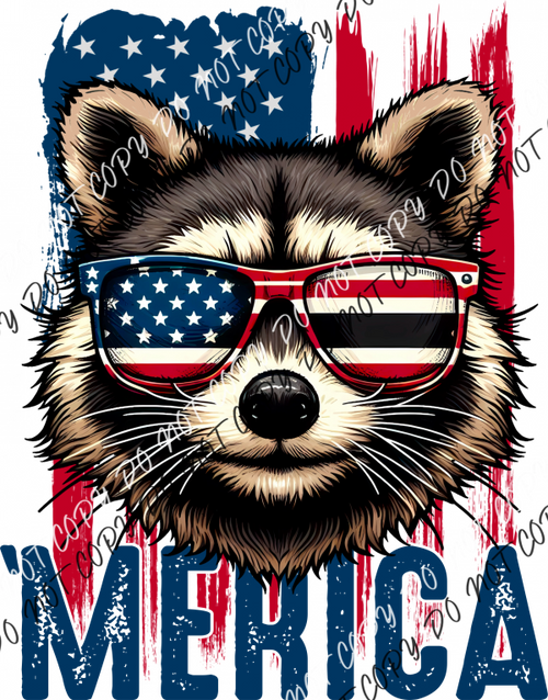 ’Merica Raccoon Dtf Transfer Rtp Transfers