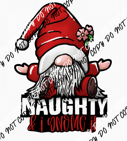 Naughty and I Gnome It DTF Transfer - We Print U Press DTF Transfers